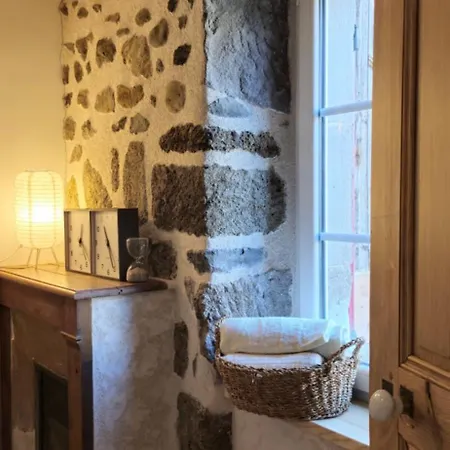 La Maison Chez Lisette Avec Piscine Et Terrain De Petanque Prive Au Bord De L'allier ! Holiday home *